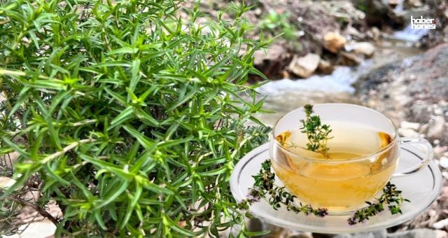 Kekik Çayının İnanılmaz Faydaları: Limon ve Sarımsaktan 30 Kat Daha Güçlü, İltihabın Kökünü Kazıyor!
