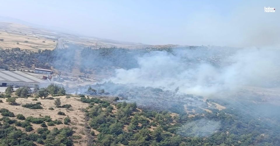Kahramanmaraş’ta Orman Yangını Alarmı: Türkoğlu’nda Ekipler Seferber Oldu