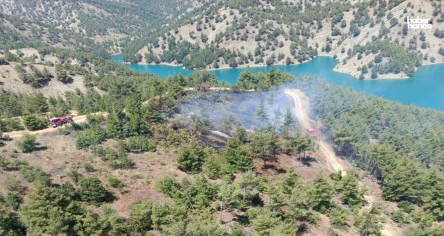 Kahramanmaraş’ta Ormanlık Alan Alevlere Teslim Oldu