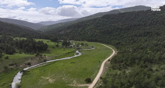 Kahramanmaraş'ta Geben Vadisi İçin Yeni Dönem! Müstakil Milli Park Müdürlüğü Kuruldu