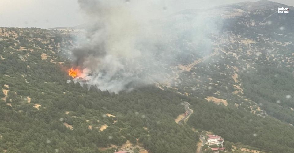 Kahramanmaraş’ta Yangın Alarmı! Bir Günde 11 Yangın Çıktı, Tamamı Kontrol Altına Alındı