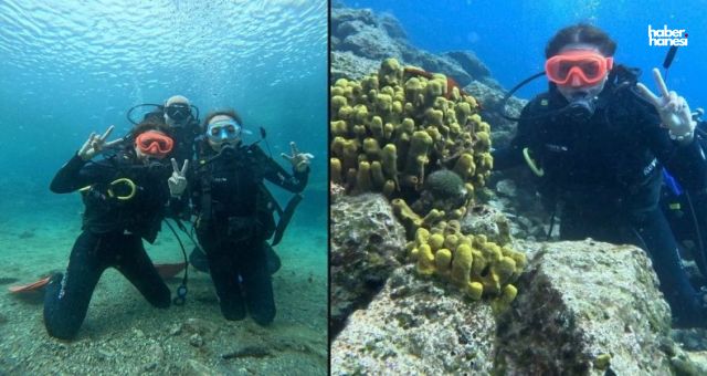 Kahramanmaraşlı Hukukçu Saros Körfezi’nde Daldı: “Bambaşka Bir Duygu”