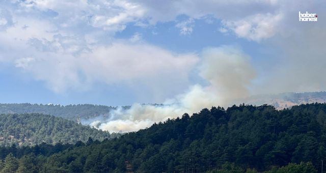 Kahramanmaraş’ta Orman Yangını! 70 Personel ve 3 Helikopter Seferber Oldu