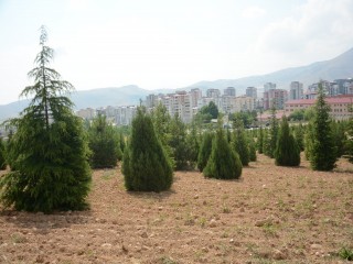 İlçemizin ”Oksijen Kaynağı” Unutulmadı