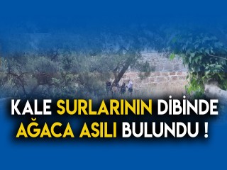 SURLARIN DİBİNDE AĞACA ASILI BULUNDU