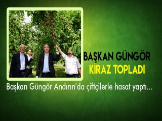 BAŞKAN GÜNGÖR KİRAZ TOPLADI