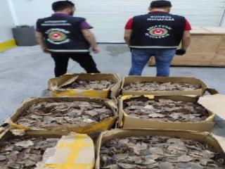 İstanbul Havalimanı’nda 8,5 Milyon Lira Değerinde Pangolin Pulu Ele Geçti