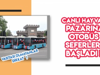 CANLI HAYVAN BORSASI’NA SEFERLER BAŞLADI