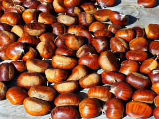 Kestane Her Derde Deva