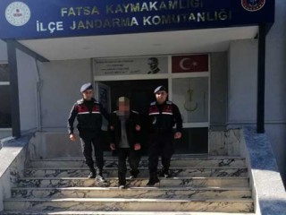 Yavru Köpekleri Öldüren Kişiye Ceza Yağdı