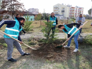 Sivas Aydogan Mezarlığına Cevre Düzenlemesi