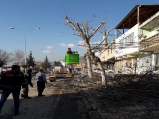 Türkoğlu’nda Bahar Hazırlıkları