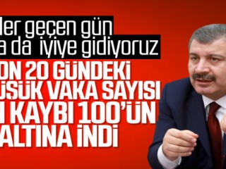 Koronavirüste Günler Sonra ilk Defa Düştü