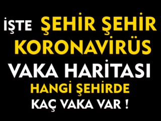Şehir Şehir Koronavirüs Vaka Sayısı !