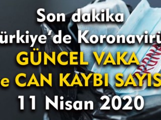 Türkiye'de koronavirüsten can kaybı sayısı bin 101'e yükseldi