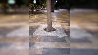 Ağaç Diplerine Yeni Tasarım