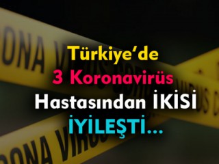 Koronavirüsten can kaybı 3 bin 739'a yükseldi