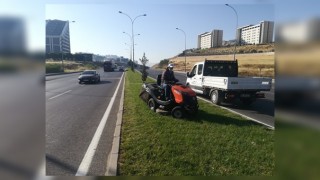 Büyükşehir'den Peyzaj Çalışması