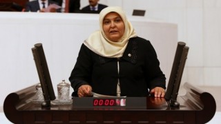 Habibe Öçal’dan Mecliste Sözde Onur Yürüyüşüne Tepki