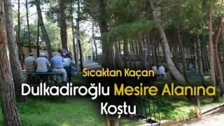 Sıcaktan Kaçıp Nefes Almak İsteyen Mesire Alanına Koştu