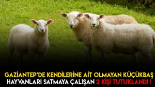 45 Bin TL Kapora Alıp Kaçtılar