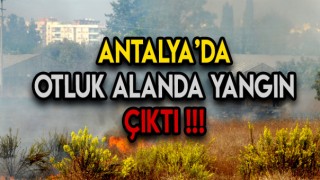 Antalya'nın Kepez İlçesinde Yangın Çıktı