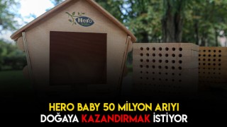 Arılar Doğasına Kavuşuyor