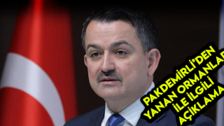 Bakan Pakdemirli Yanan Ormanlarla İlgili Açıklamalarda Bulundu