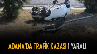 Direksiyon Kontrolünü kaybetti Elektrik Direğine Çarptı