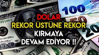 Dolar Rekor Seviyeye Ulaştı