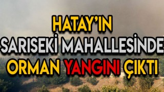 Hatay'da Orman Yangınları Devam Ediyor