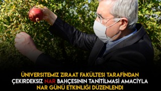 Kahramanmaraş'ın Sütcü İmam Üniversitesinde 'Nar Günü' Etkinliği