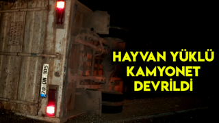 Mersin’de Hayvan Yüklü Kamyonet Devrildi