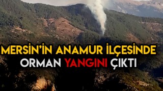 Türkiye'nin Orman Yangın Sorunu Bitmiyor