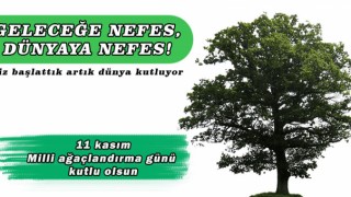 11 Kasım Milli Ağaçlandırma Günü