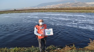 Aksu Çayı Ceyhan Havzasını Kirletiyor