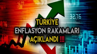 Tüketici Fiyat Endeksi (TÜFE) Düzenledi