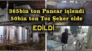 Elbistan'da 50 Bin Ton Toz Şeker Üretildi