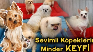 Hayvan Bakım Ve Rehabilitasyon Merkezi'nden Sevimli Görüntüler