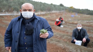 Mado Bölge Çiftçisini İhya Edecek Proje Yaptı