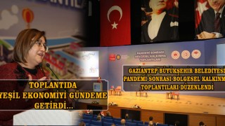 Pandemi Sonrası Bölgesel Kalkınma Toplantıları Düzenlendi