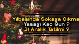 Yılbaşı Tatili Kaç Gün ? 31 Aralık Tatil mi ? Yılbaşında Kaç Gün Sokağa Çıkma Yasağı var ?
