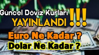 Son Dakika Haberleri : Dolar Kaç TL ? 11 Ocak Güncel Döviz Kurları