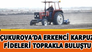Turfanda Yetiştirilen Erkenci Karpuz Fideleri Toprakla Buluştu