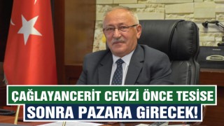 Çağlayancerit Cevizi Önce Tesise Sonra Pazara Girecek!