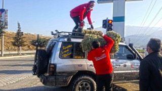 Kahramanmaraş'ta Yaban Hayvanlarına Mama Bırakıldı