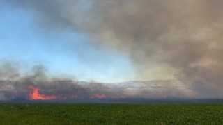 Kaş'ta Çıkan Yangın Seraları Tehtid Ediyor