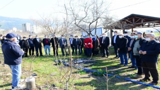 Budama Ve Aşılama Uygulanarak Öğreniliyor