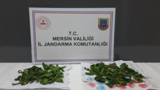 Mersin'de Uyuşturucu Operasyonu Yapıldı