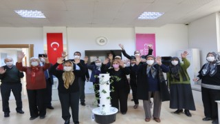 Ulu Çınarlara Anlamlı Hediye